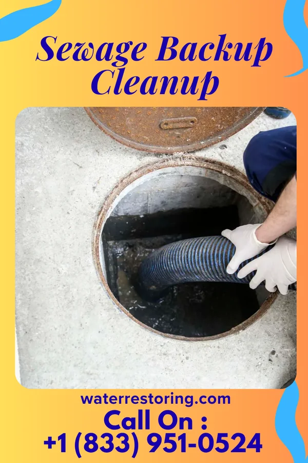 Sewage Backup Cleanup in Creighton, NE